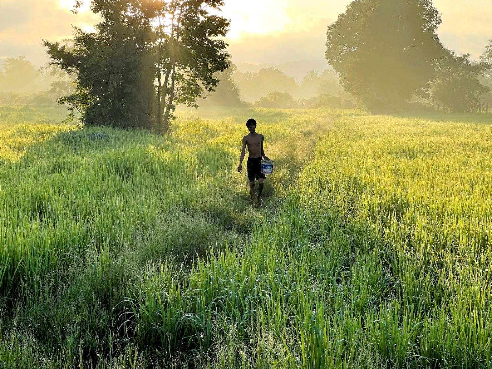 The Little Vegan Homestay Phumi Banteay Srei Kültér fotó